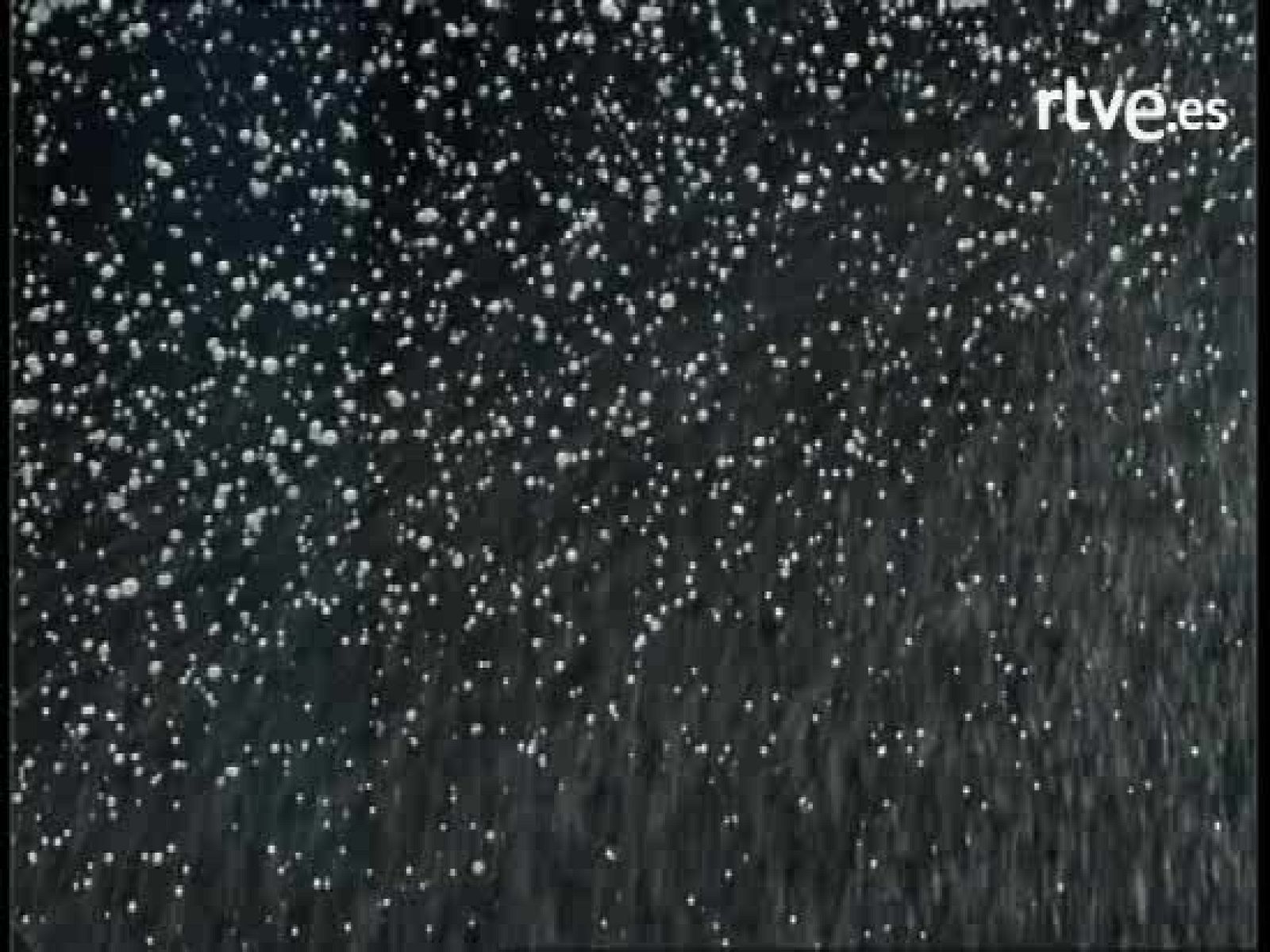 José Mota - Nochevieja 07 - Si tú lees...