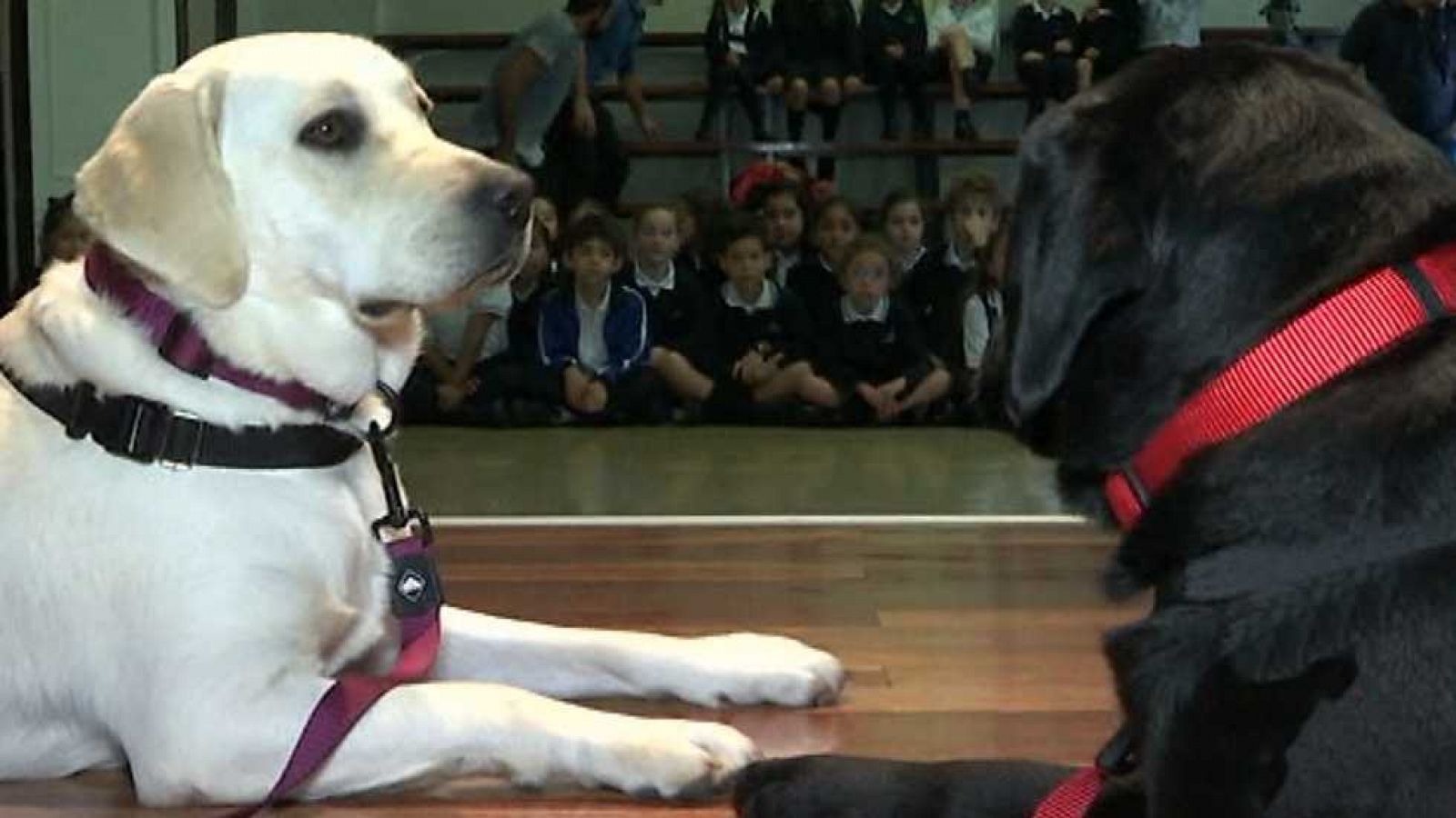 España en 24 horas - 28/10/16 - ver ahora