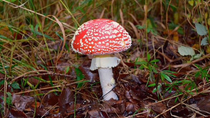 El tiempo - Viento fuerte de Levante en el Estrecho y pocos cambios en las temperaturas en todas las regiones