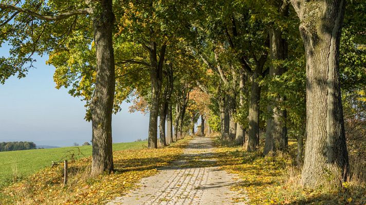 El tiempo - Temperaturas sin grandes cambios en general