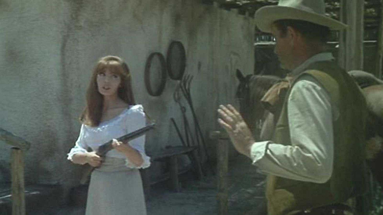 Mañanas de cine - Dos mil dólares por coyote - ver ahora