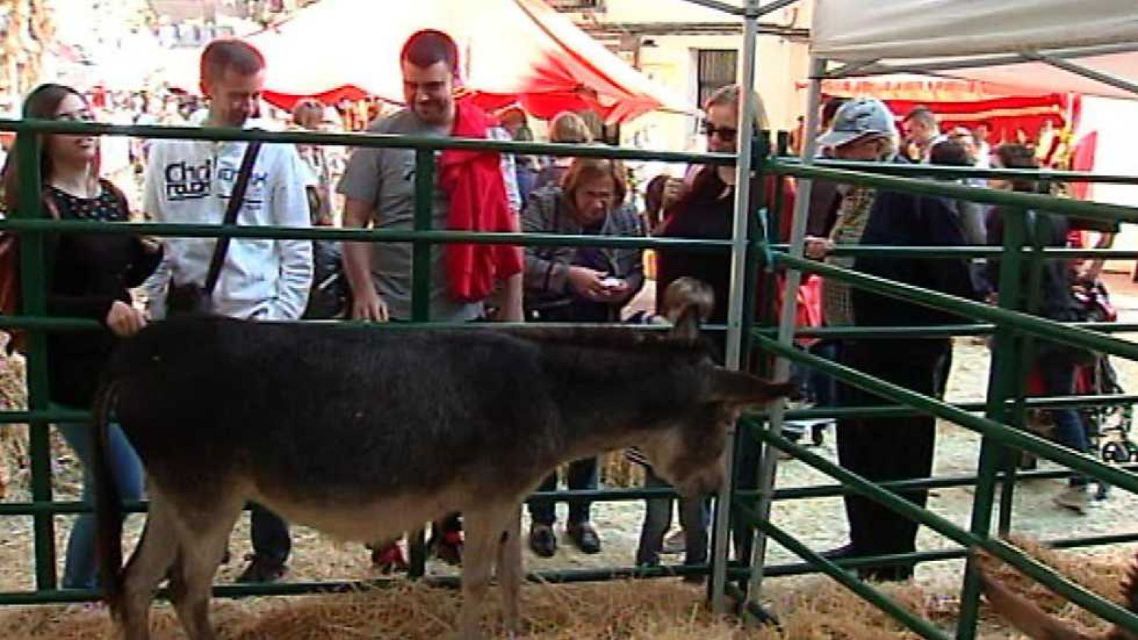 L'Informatiu - Comunitat Valenciana 2 - 26/10/16 - ver ahora