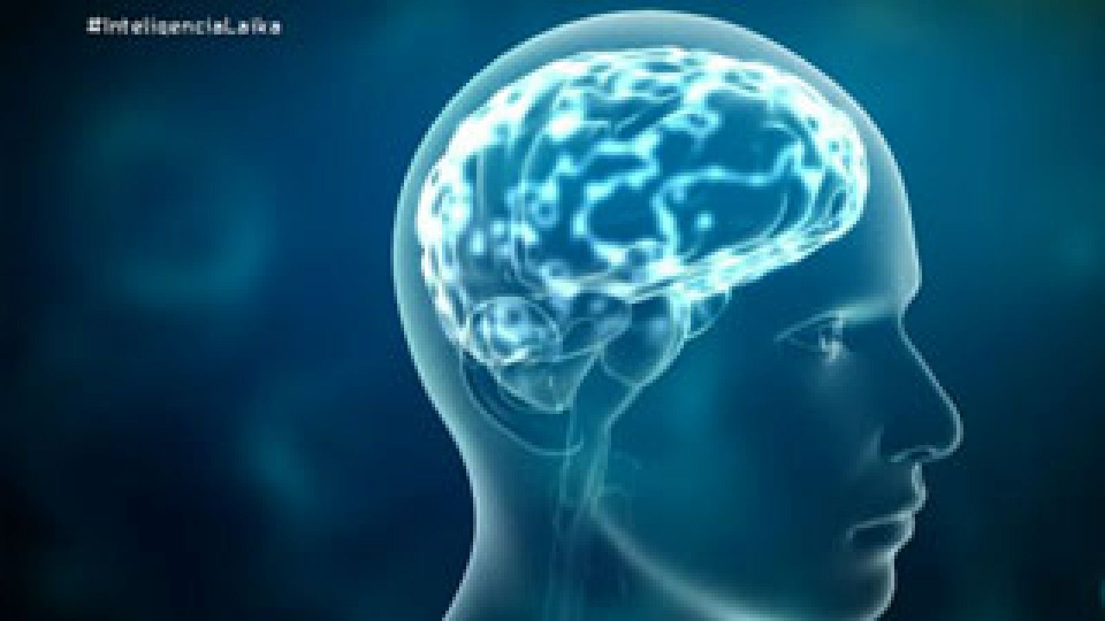 Órbita Laika: Cerebro e inteligencia artificial | RTVE Play