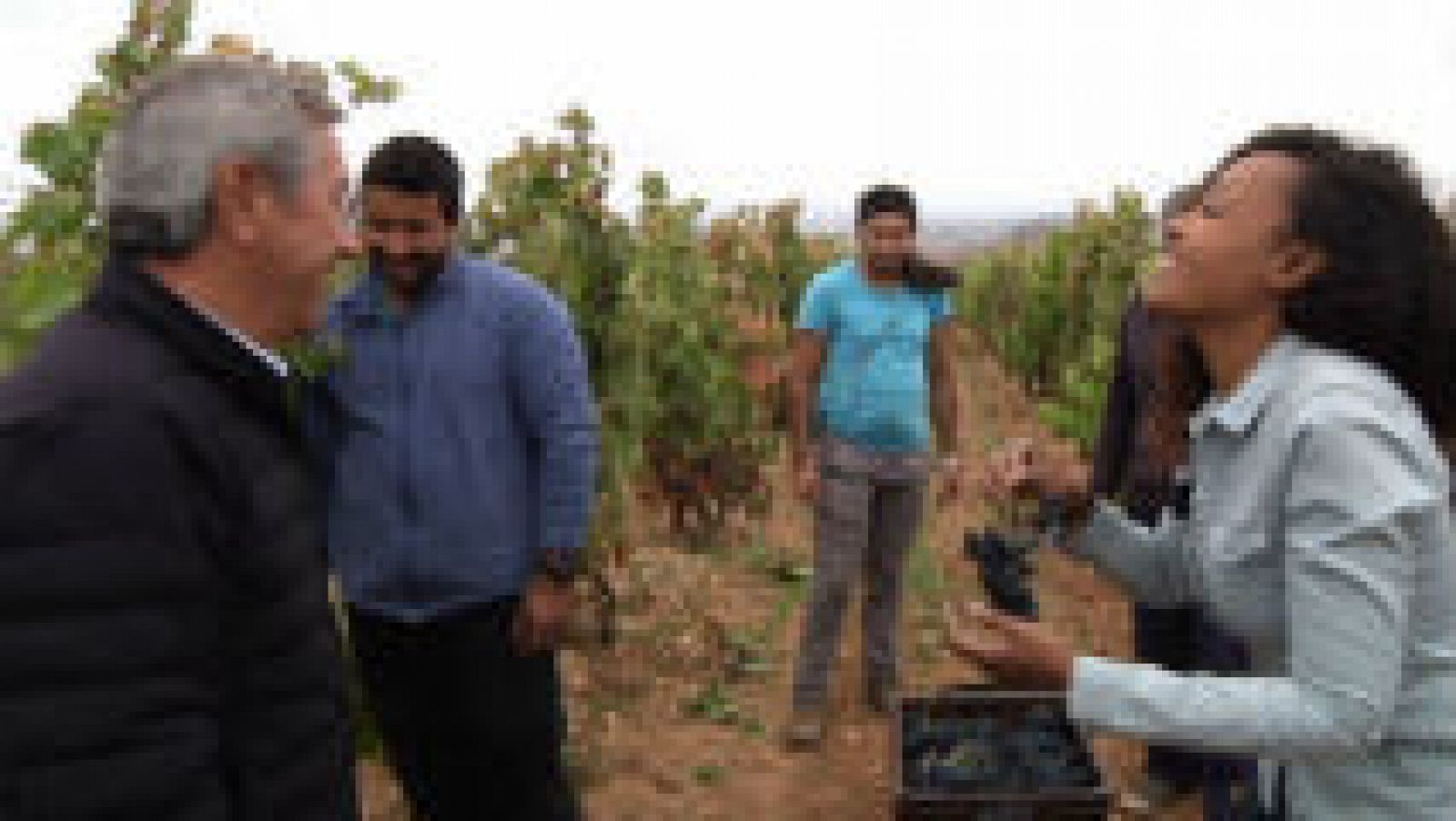 Descubrimos el vino "trasnocho"
