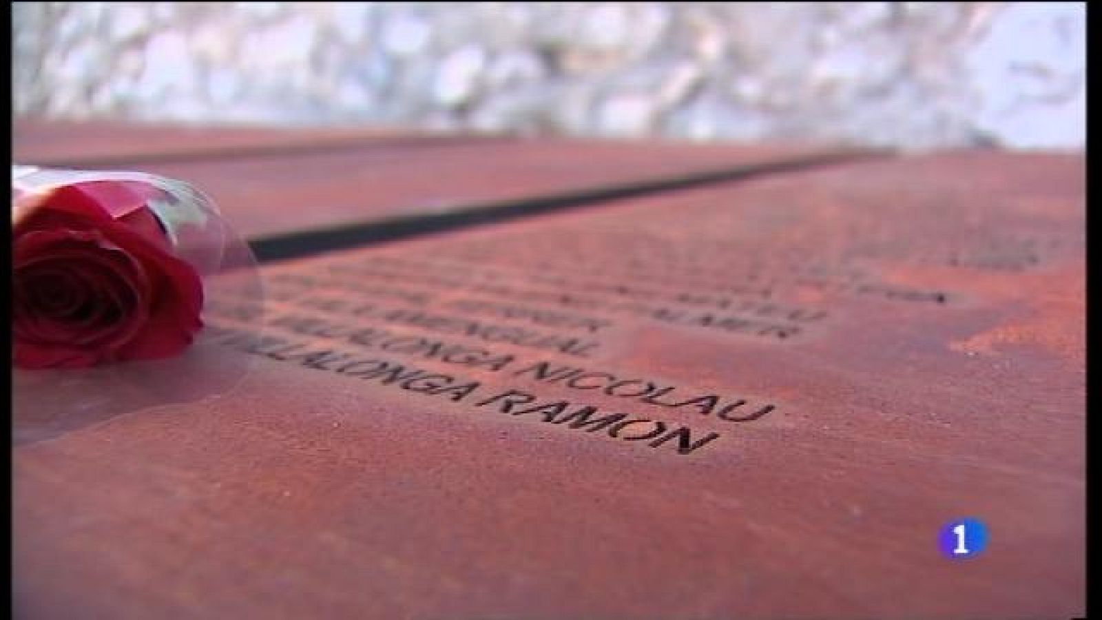 Comença l'exhumació de la fossa de Porreres