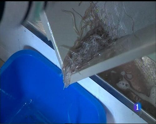 Panorama Regional - Panorama Regional 2 - 02/11/16