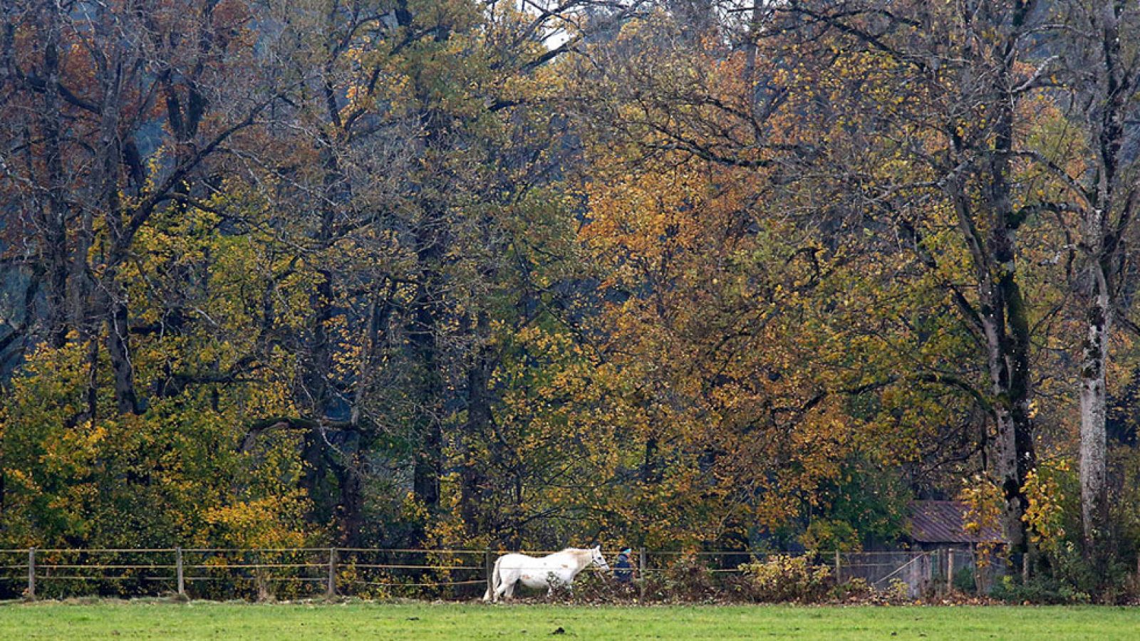 El cielo estará poco nuboso, con precipitaciones sólo en Canarias