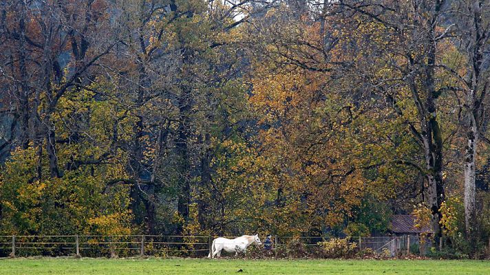 El tiempo - El cielo estará poco nuboso, con precipitaciones sólo en Canarias