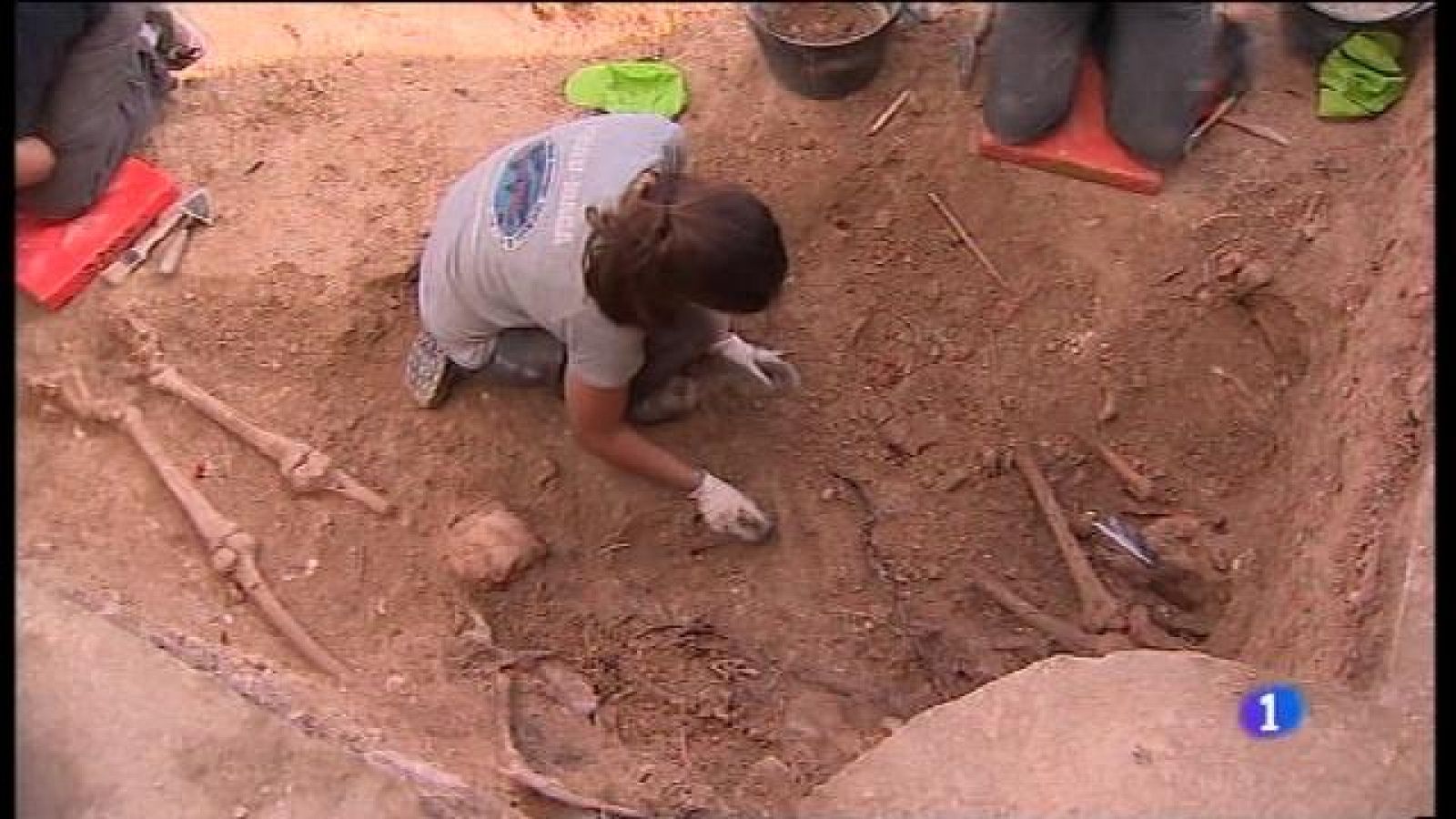 Localitzades les primeres restes a la Fossa de Porreres