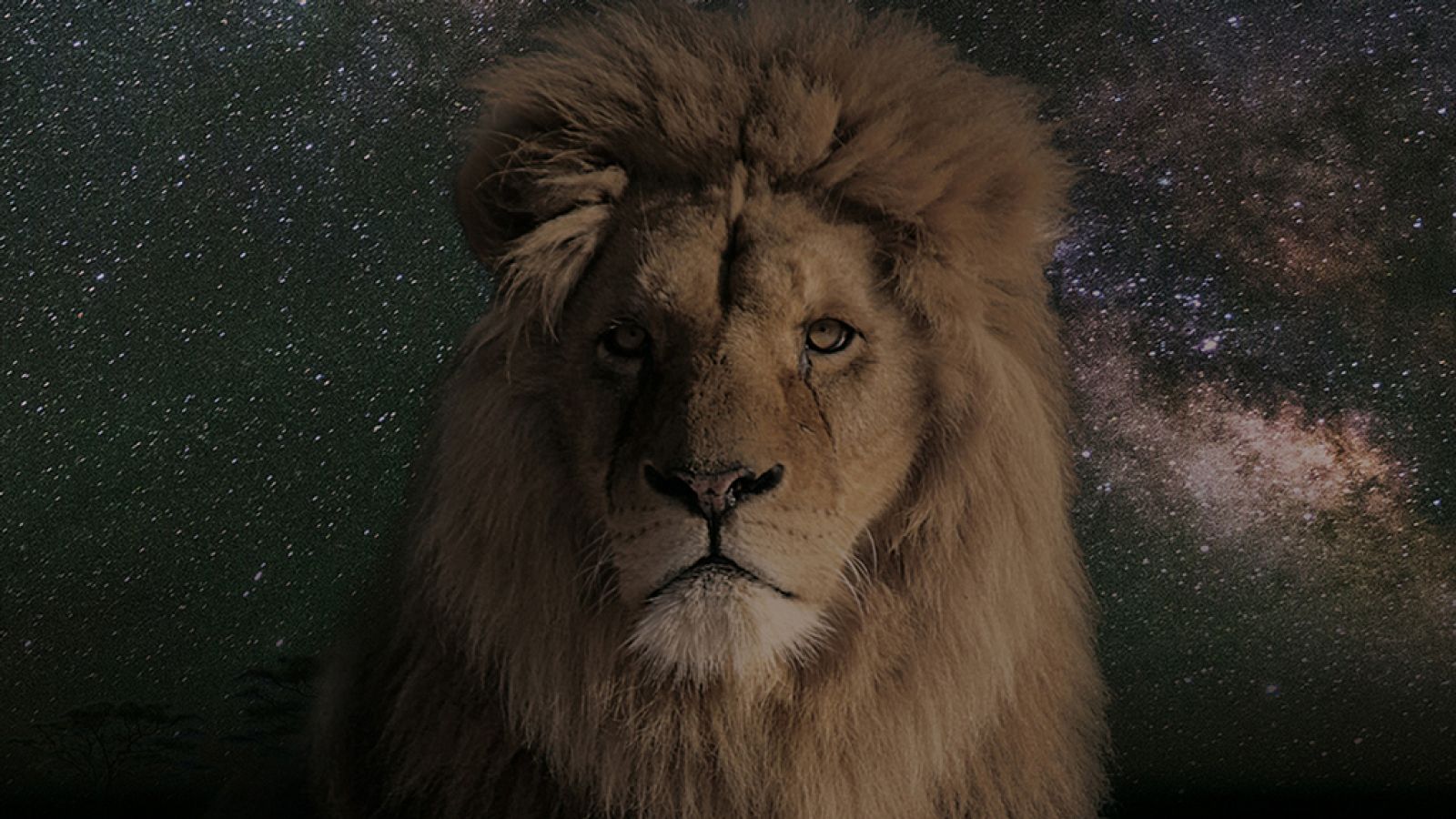 Grandes documentales - Una noche en la Tierra: África 2 - ver ahora