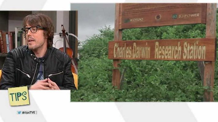 Tips - Tips - 03/11/16