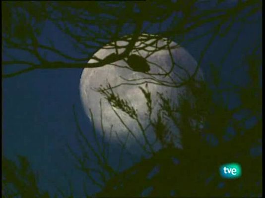 Jara y sedal - La cuna del lobo