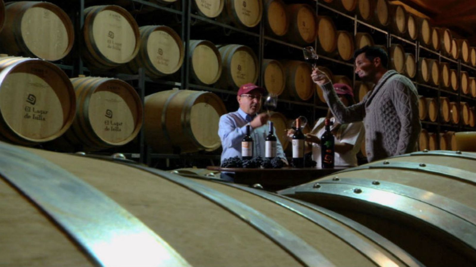 Un viaje entre viñas