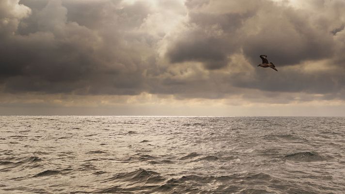 El tiempo - Lluvias fuertes en el norte y bajada de temperaturas en la Península