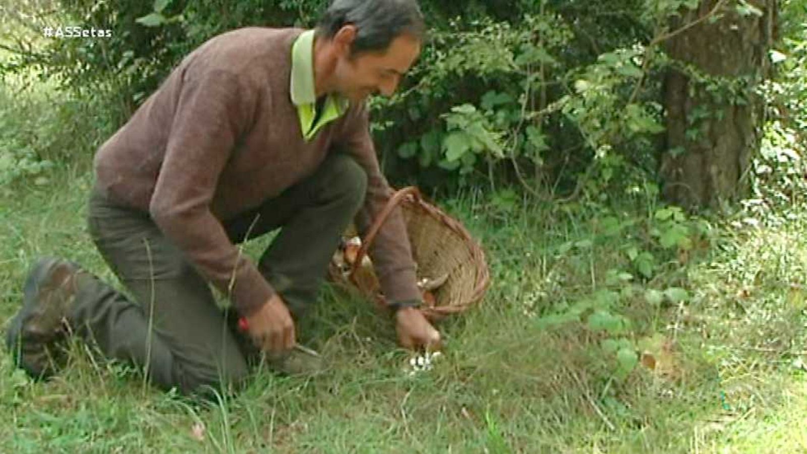 La aventura del saber - 07/11/16 - ver ahora