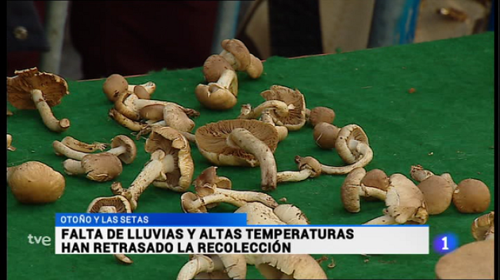 Informativo Telerioja - Telerioja en 2' - 07/11/16