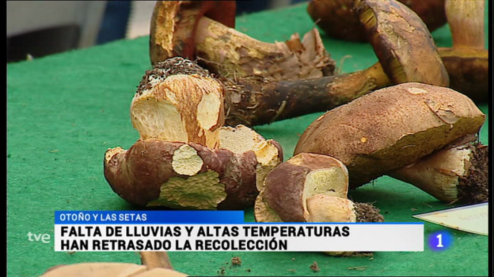  Informativo Telerioja 2 - 07/11/16