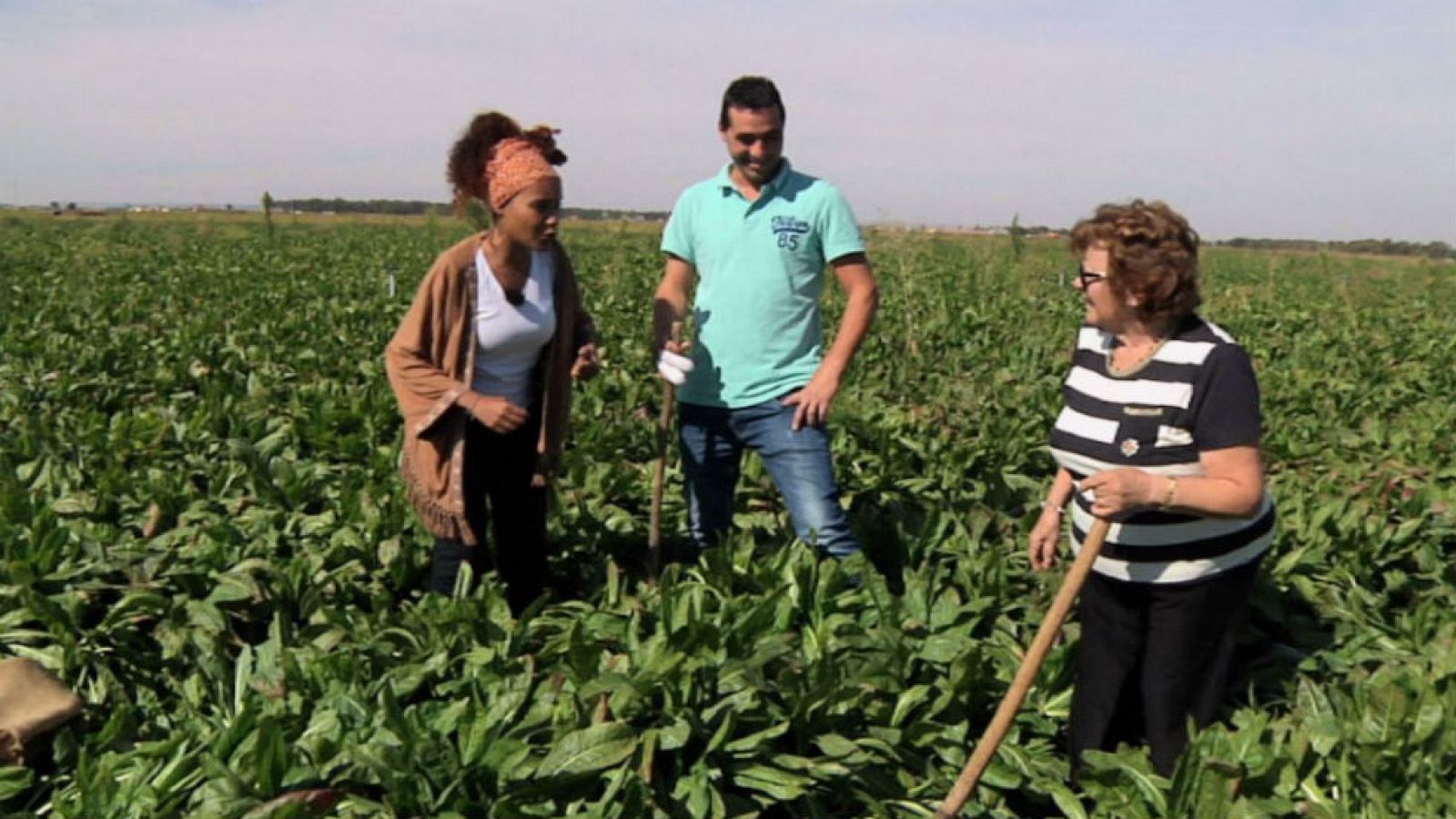 El antiguo café de pobre