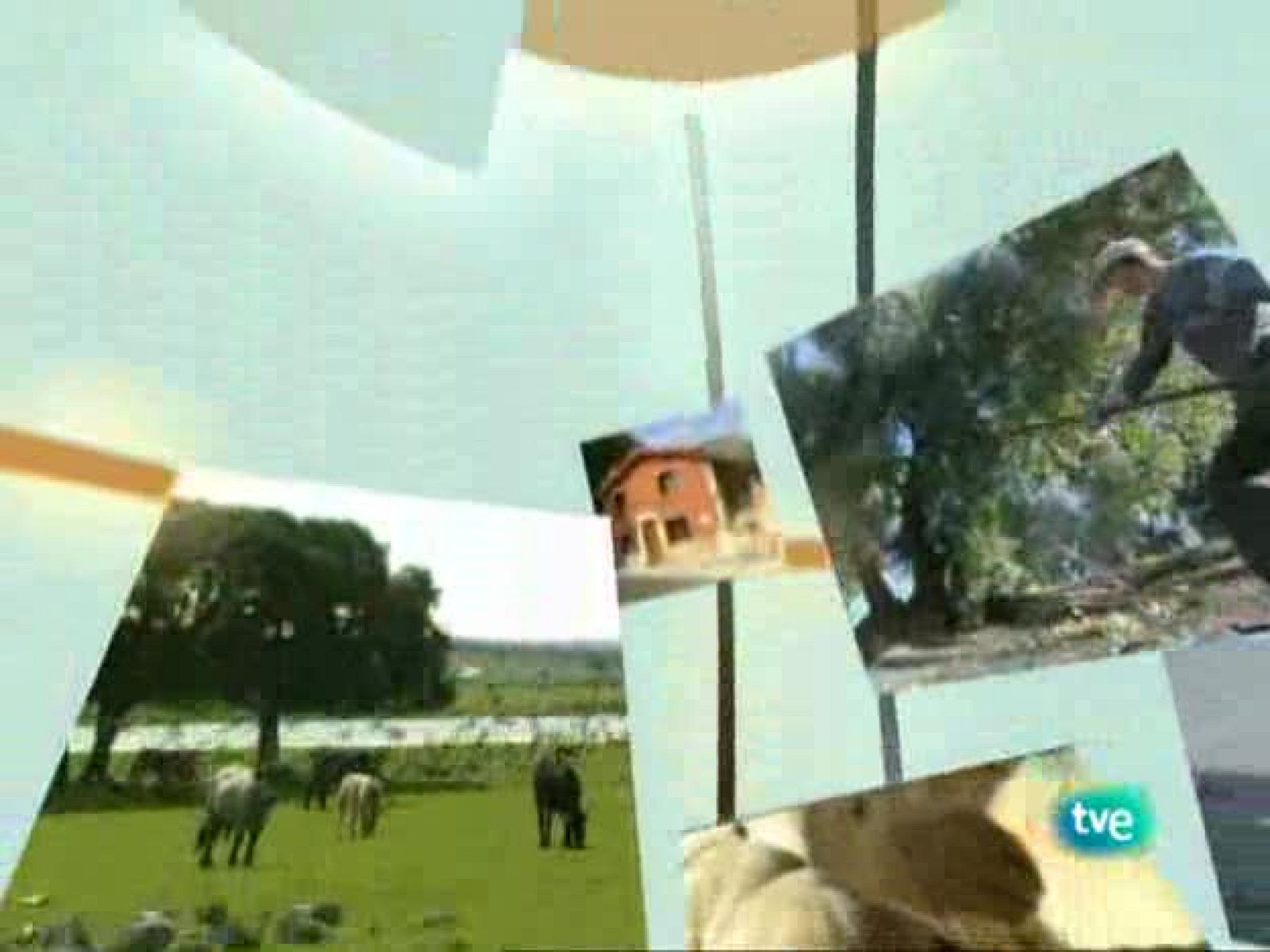 Agrosfera - 10/01/09 - Agrosfera | Ver