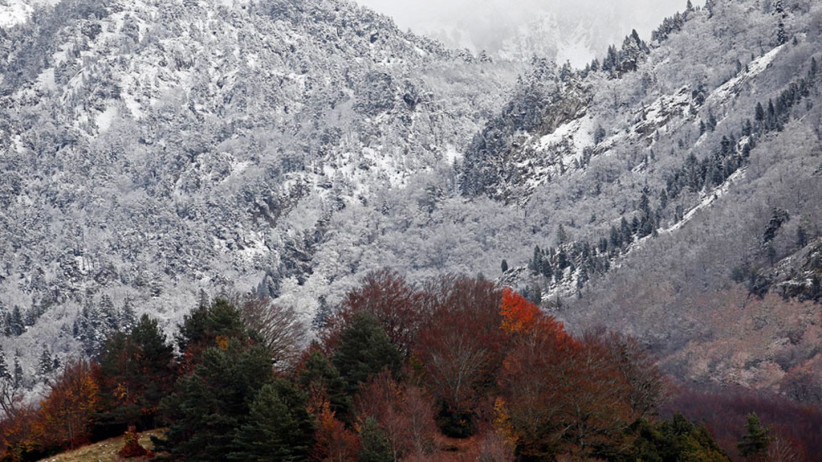 La nieve y el frío dejarán paso a la lluvia