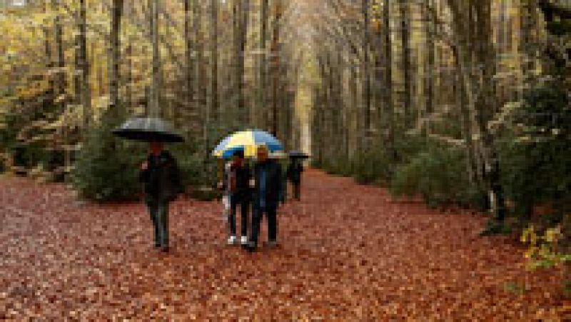 Lluvia persistente en el Cantábrico oriental, Navarra y Pirineos