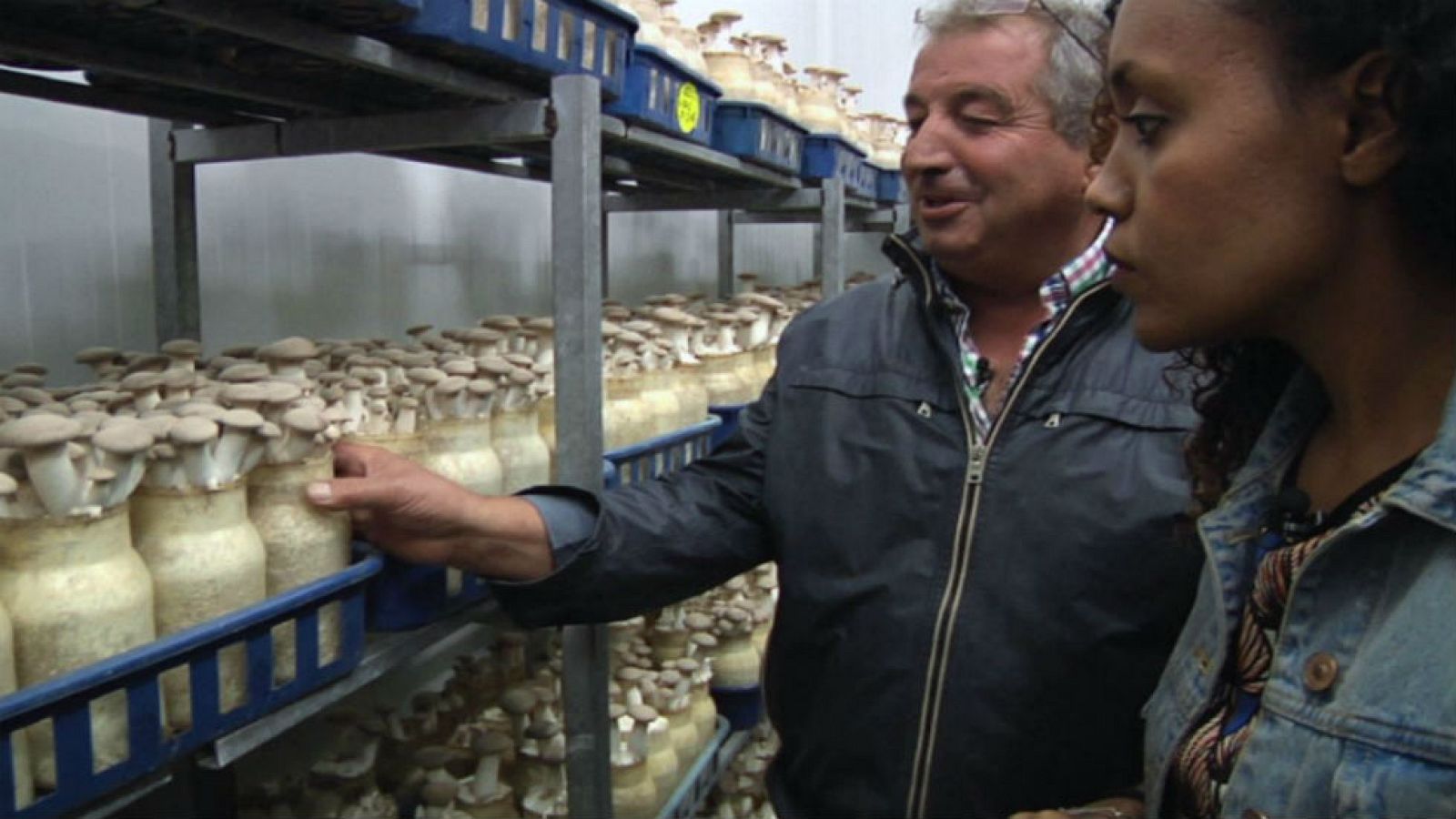 ¡Miles de setas, en un bote!