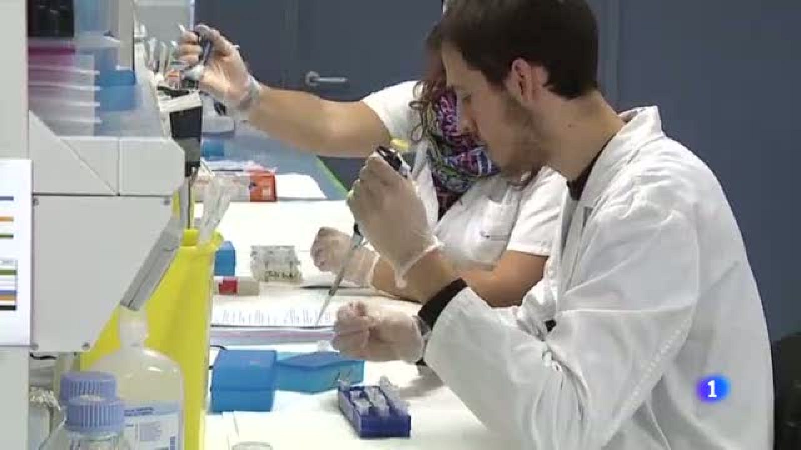 Investigación ratones