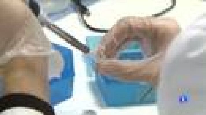  - Investigación ratones