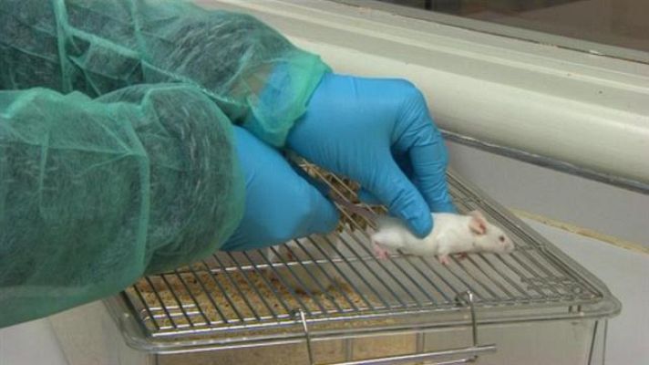 Telecanarias - Canarias en 2' - 09/11/2016