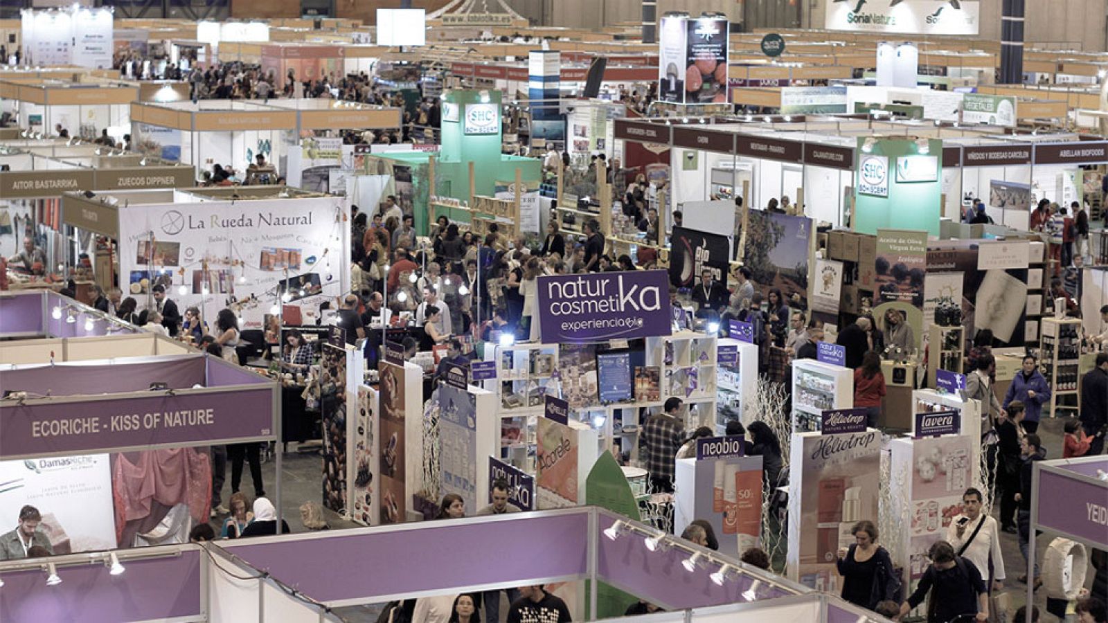 La Comunidad de Madrid en 4' - 10/11/16