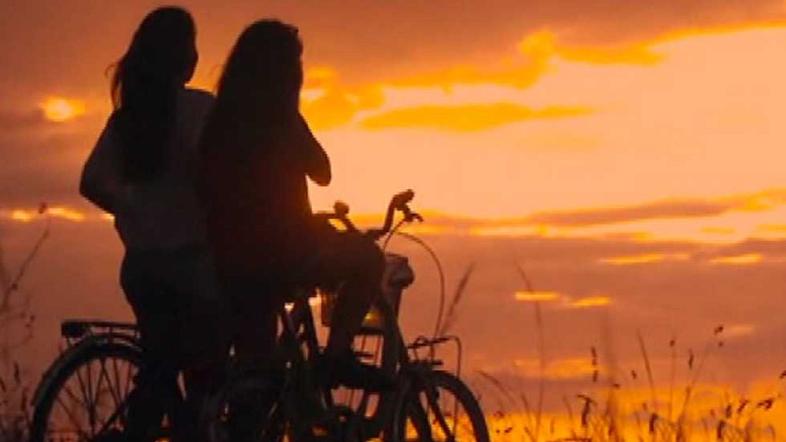 NCI Noticias - 11/11/16 - ver ahora