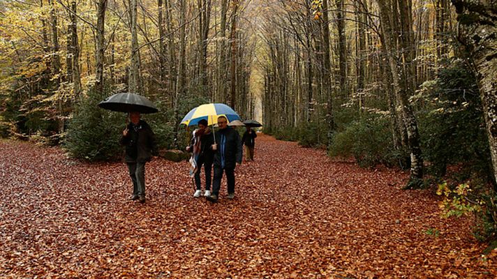 El tiempo - Lluvias localmente fuertes en el oeste y noroeste de Galicia