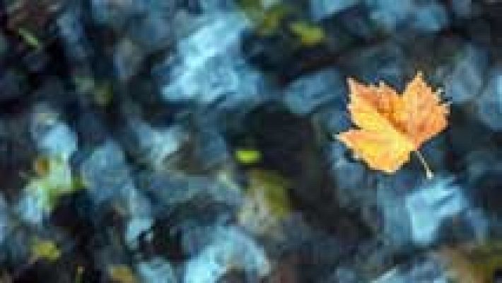 Informativo de Madrid - El Tiempo en la Comunidad de Madrid - 11/11/16