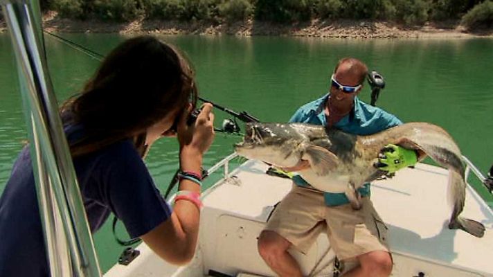 Pesca del siluro en Mequinenza