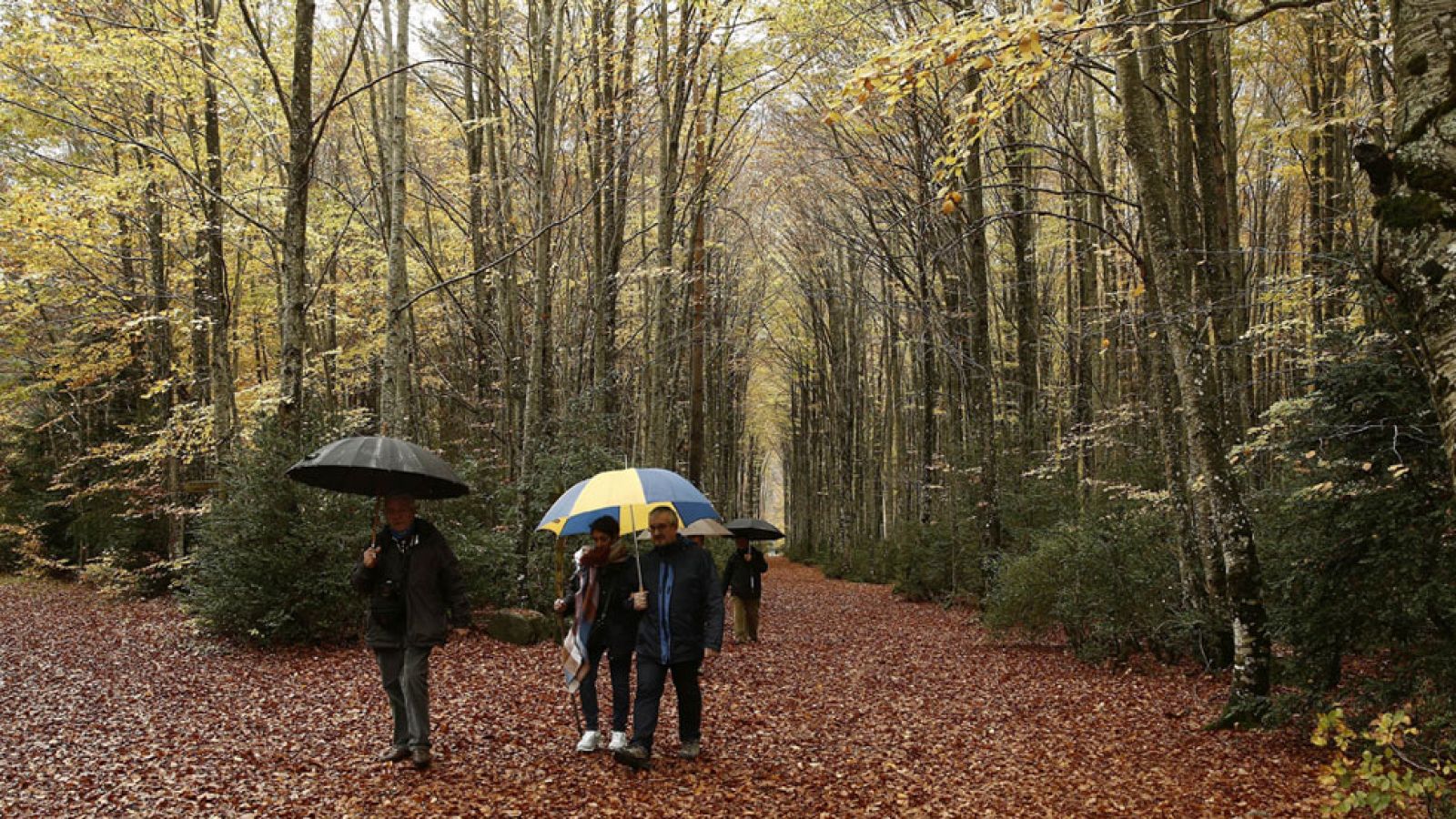 Lluvias localmente fuertes en el oeste y noroeste de Galicia
