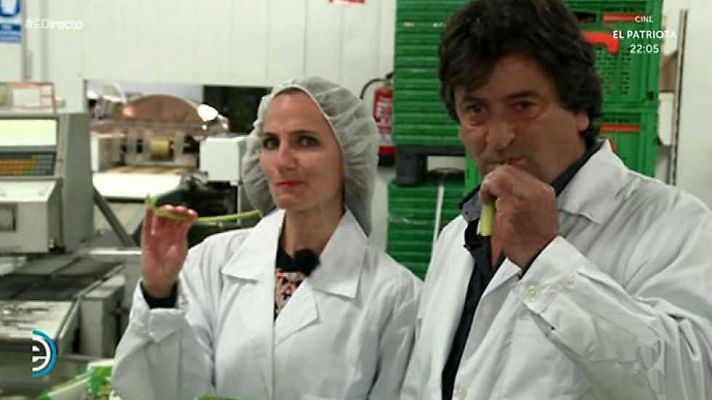 España Directo - España Directo - 11/11/16