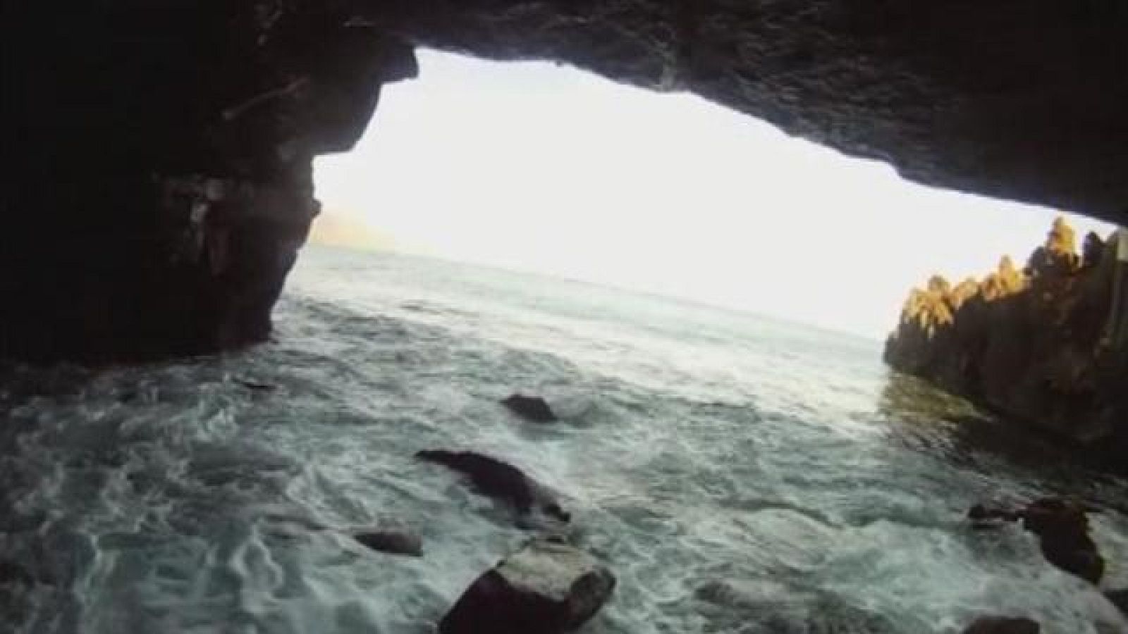  Canarias en 2' - 12/11/2016