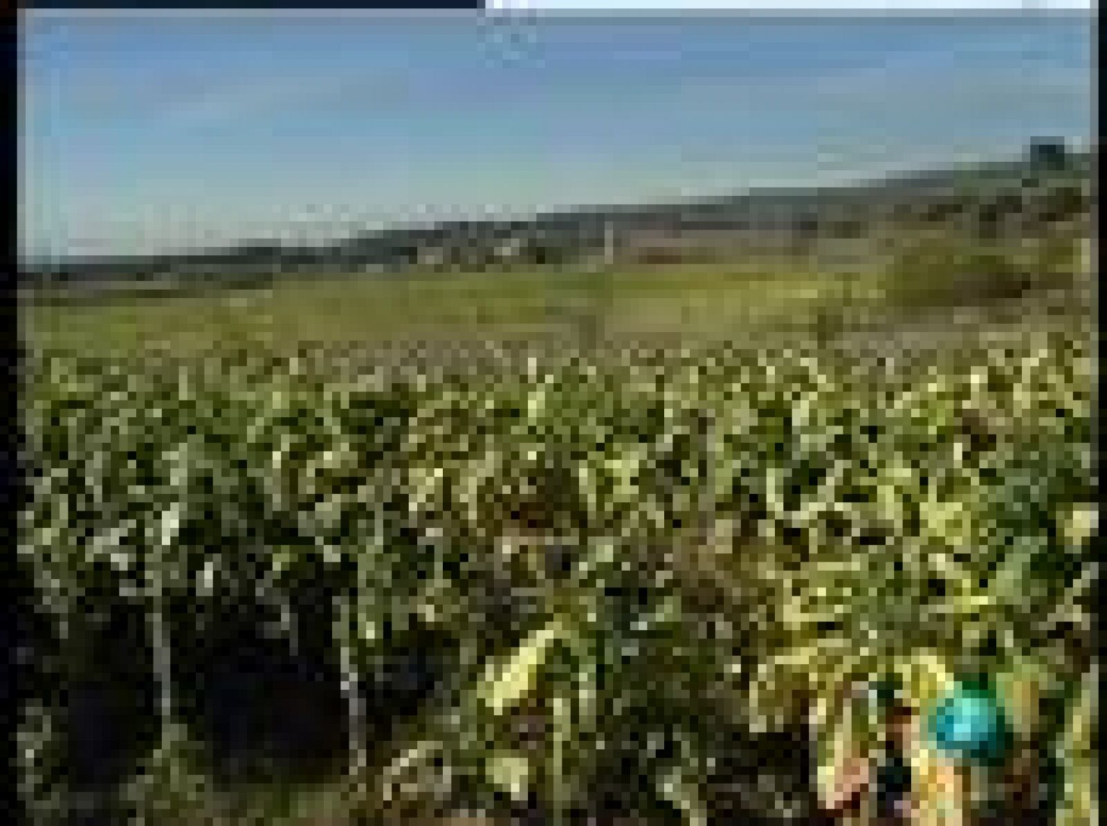 España en comunidad - 11/01/09 - España en comunidad | Ver