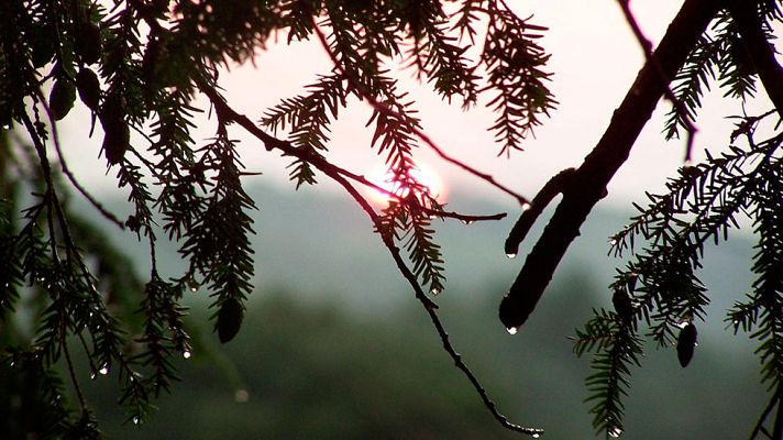 El tiempo - Posibilidad de precipitaciones fuertes en Baleares y Canarias