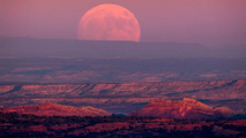 Este lunes se podrá ver la Superluna más grande de los últimos 70 años