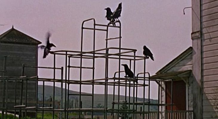 Universo UNED - Alfred Hitchcock, la sombra de un genio