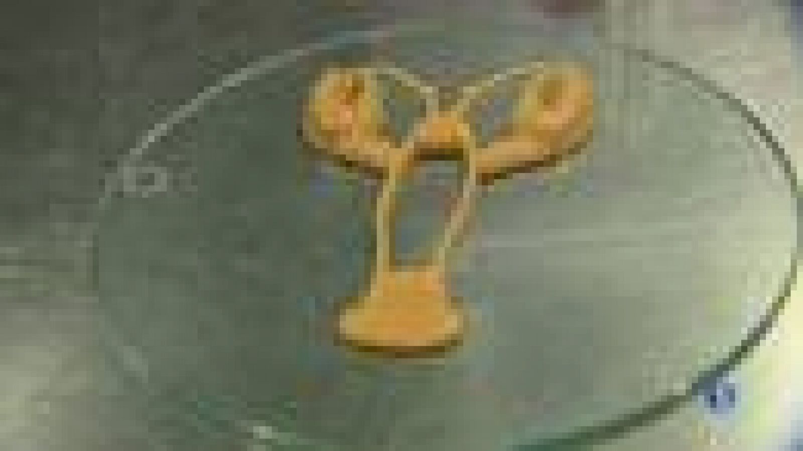 Aliments fets amb impressores 3D