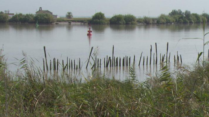 Cerco a Doñana - Total 2