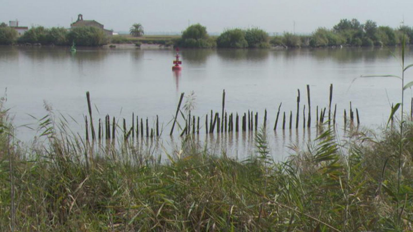 REPOR - Cerco a Doñana - Total 2