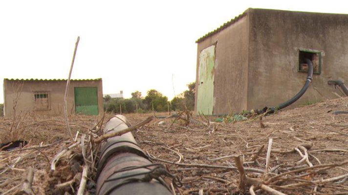 Repor - Cerco a Doñana - Total 3