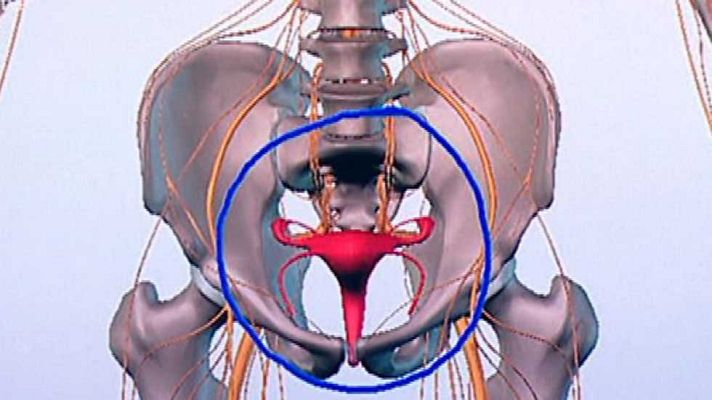 La mañana - La Mañana - 15/11/16