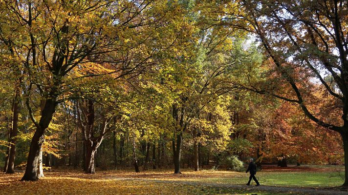 Informativo de Madrid - El Tiempo en la Comunidad de Madrid - 15/11/16