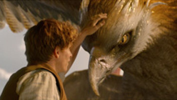 'Animales fantásticos y donde encontrarlos' llega a los cines para exprimir el universo de Harry Potter