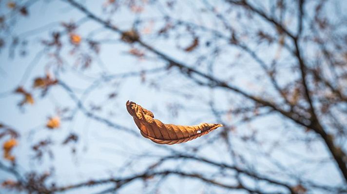 El tiempo - Temperaturas en ascenso en la mitad norte peninsular