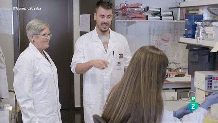 Órbita Laika - Terapia génica